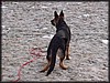 P2131845.JPG