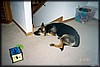 011_8A.JPG