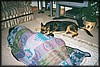 012_9A.JPG
