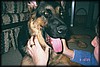 013_10A.JPG