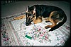 014_11A.JPG