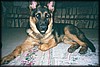 015_12A.JPG