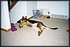 017_14A.JPG