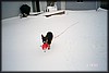022_19A.JPG