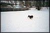 025_22A.JPG