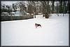 026_23A.JPG