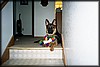 006_3.JPG