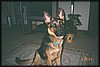 009_6.JPG