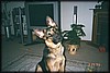 010_7.JPG