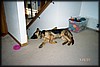 011_8.JPG