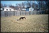 014_11.JPG