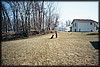 015_12.JPG