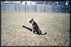 021_18.JPG