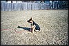 022_19.JPG