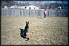 023_20.JPG