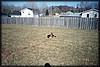 024_21.JPG
