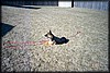 027_24.JPG