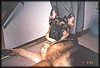 Brutus01.jpg