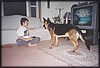 Brutus04.jpg