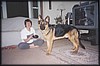 Brutus05.jpg