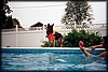 014_11.JPG