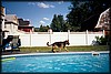 023_20.JPG