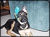 PC041729.JPG