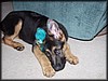 PC041730.JPG