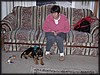 PC041731.JPG