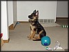 PC251737.JPG