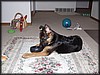 PC251739.JPG