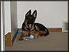 PC251741.JPG