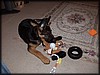 PC251746.JPG