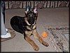 PC291758.JPG