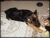 PC291759.JPG