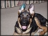 PC291760.JPG