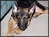 PC291763.JPG