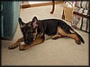 PC301767.JPG