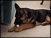 PC301768.JPG