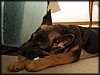 PC301770.JPG