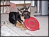 P1161807.JPG