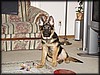 P1161808.JPG