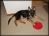 P1161809.JPG