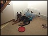 P1161811.jpg