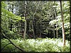 P1030029.JPG