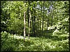 P1030030.JPG
