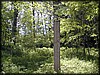 P1030031.JPG