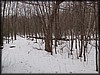 P2160053.JPG