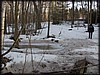P3160067.JPG