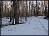 P3160072.JPG
